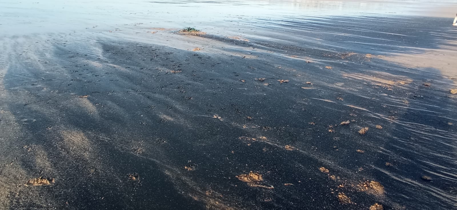 Carbón en playa de San Lorenzo