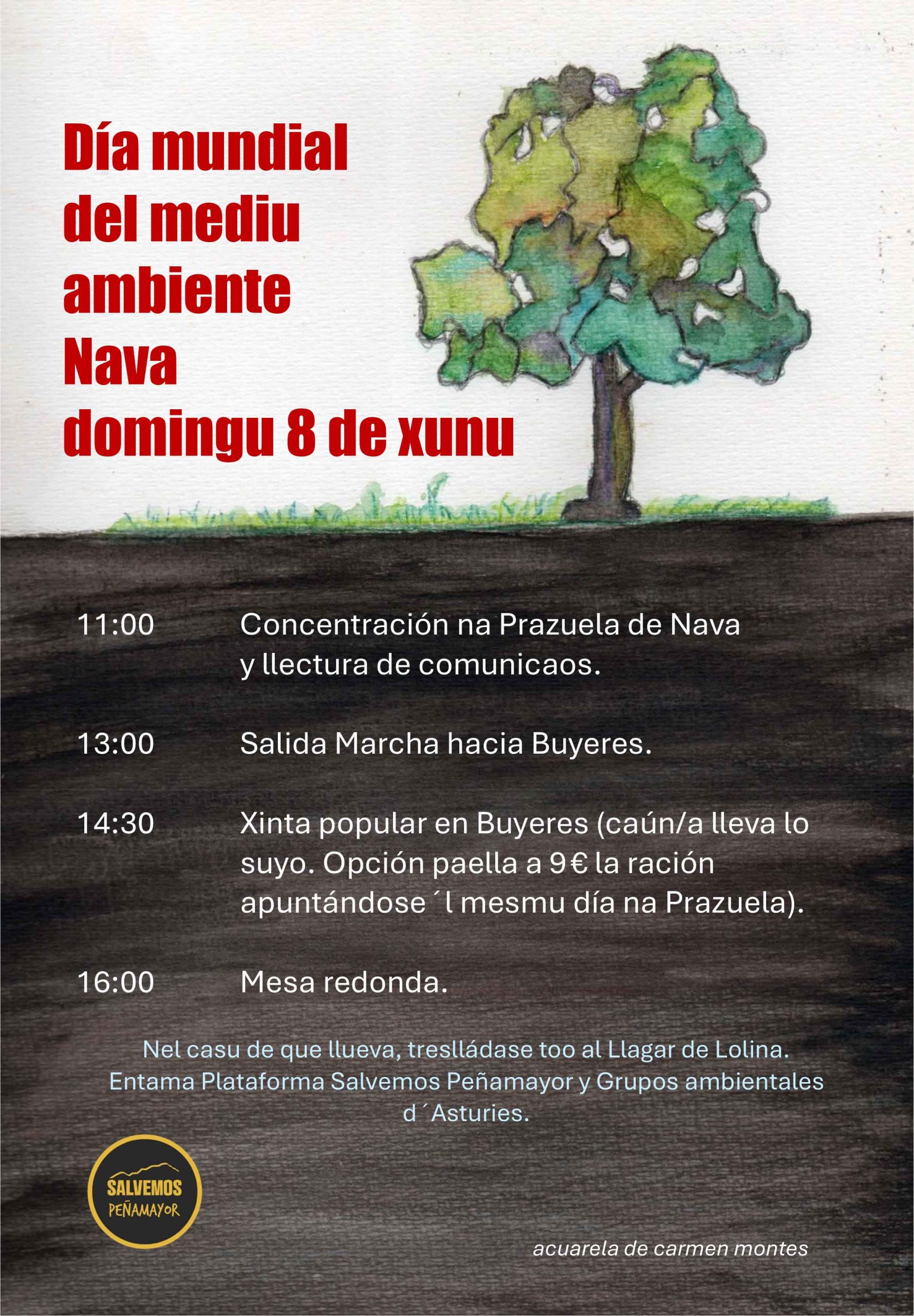 2025 - dia-mundial-del-medio-ambiente