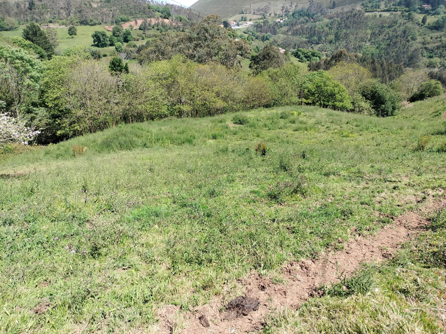 Baterías Romio