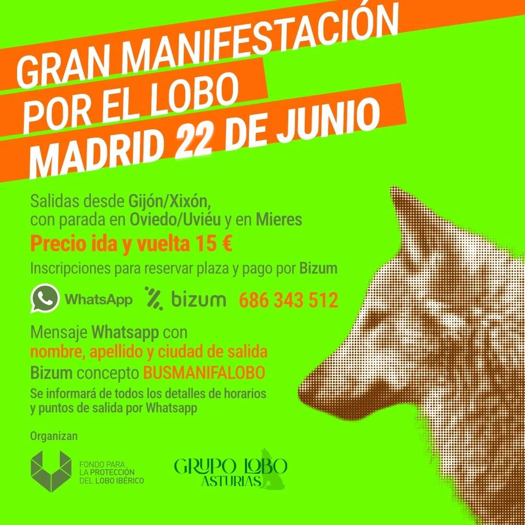 Cartel manifestación por el lobo