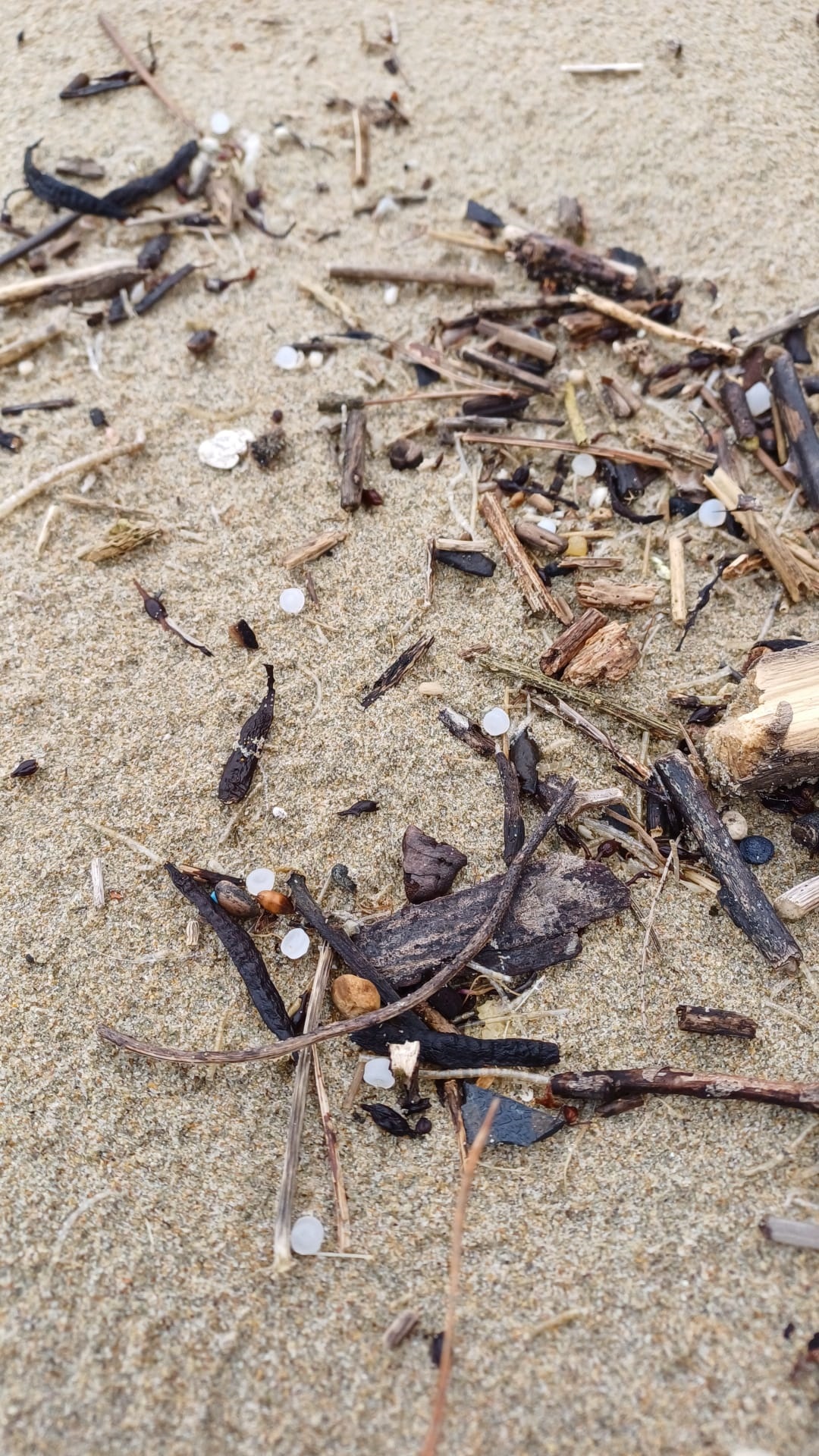 Micro plasticos en las playas