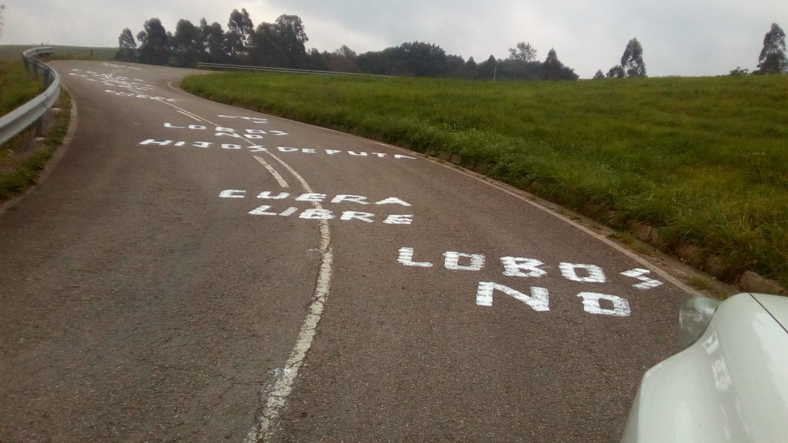 Pintada contra lobos carretera