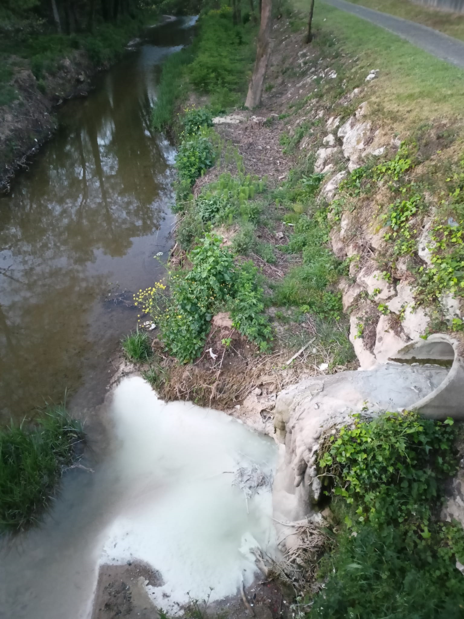 Vertidos en el río Pinzales Somonte